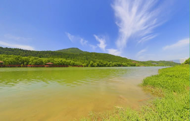 虚拟旅游南河湿地